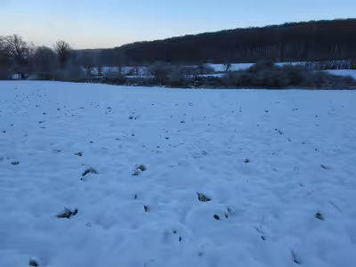 land- und forstwirtschaftlich genutztes Grundstück in ., 53343 Wachtberg, Züllighoven - Bild 1