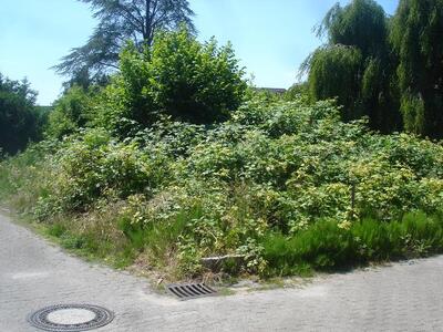 unbebautes Grundstück in Koblenzer Straße, 32584 Löhne - Bild 1