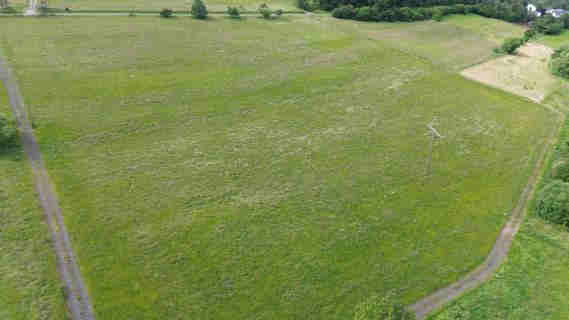 land- und forstwirtschaftlich genutztes Grundstück in Holler - Bild 3