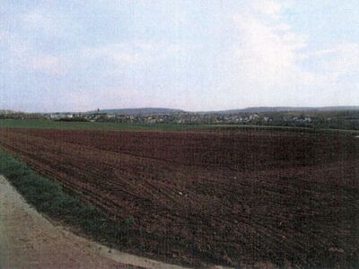 Landwirtschaftsflächen in , 74196 Neuenstadt am Kocher (Kochertürn) - Bild 2