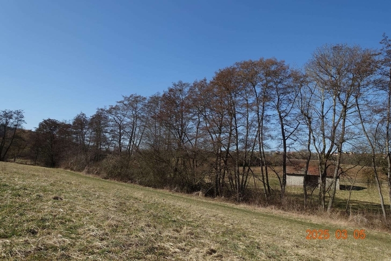 Landwirtschaftsfläche in Böblingen - Bild 1