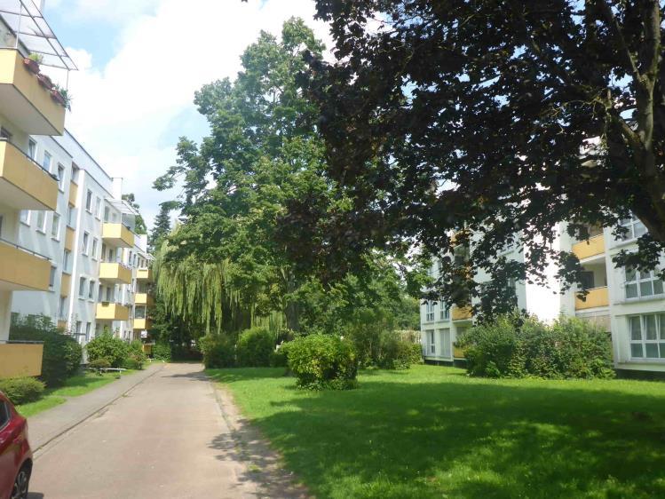 Eigentumswohnung (3 bis 4 Zimmer) in Offenbach am Main - Bild 3