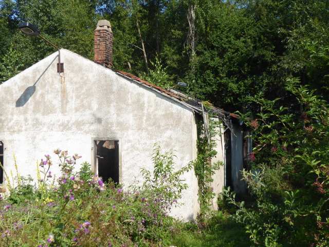 Sonstiges in Amt Wachsenburg - Bild 4