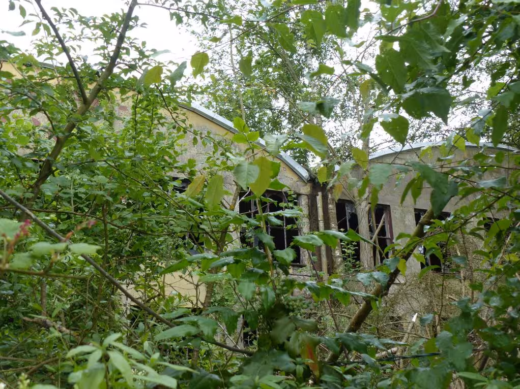 Gewerbeeinheit (z.B. Laden, Büro) in Eschershausen - Bild 1