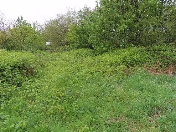 land- und forstwirtschaftlich genutztes Grundstück, unbebautes Grundstück in Jülich - Bild 1