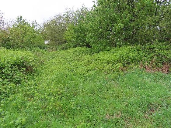 land- und forstwirtschaftlich genutztes Grundstück, unbebautes Grundstück in Jülich - Bild 1