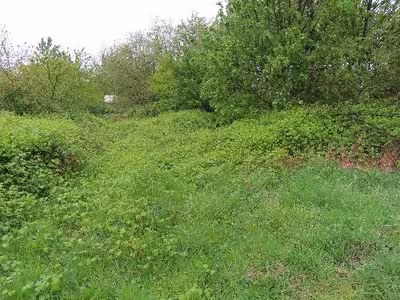 land- und forstwirtschaftlich genutztes Grundstück, unbebautes Grundstück in , 52428 Jülich, Barmen - Bild 1