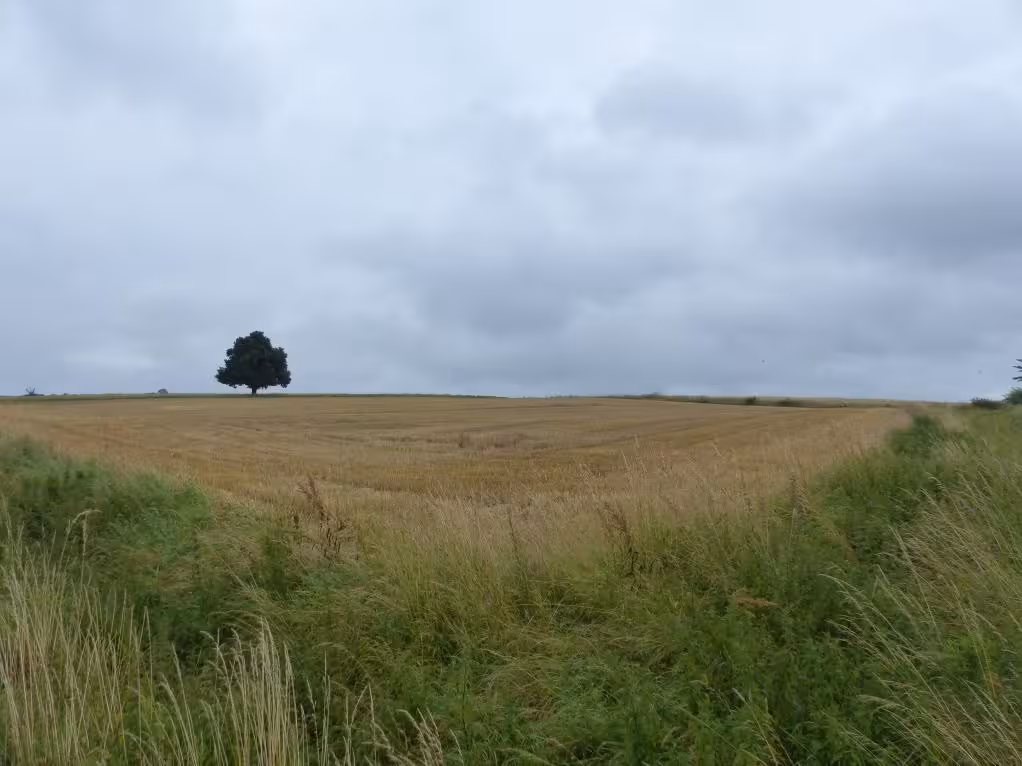 unbebautes Grundstück in Berka - Bild 3