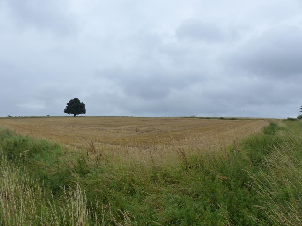 unbebautes Grundstück in Berka - Bild 3
