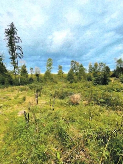 Waldflächen in , 71566 Althütte - Bild 2