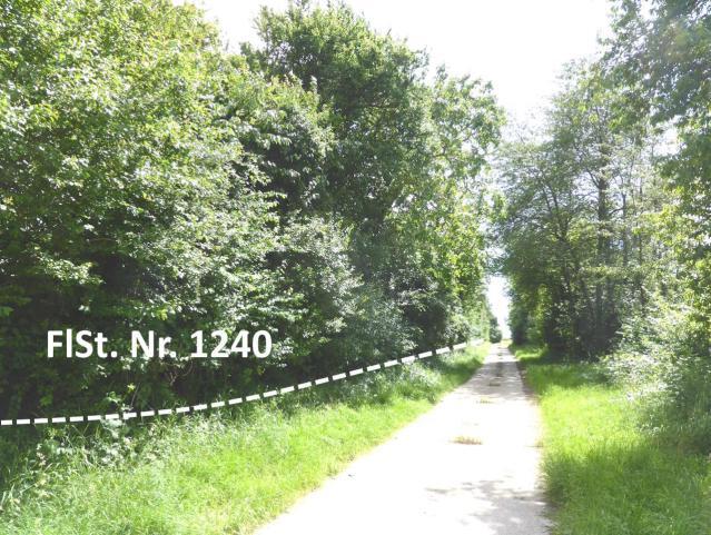 land- und forstwirtschaftlich genutztes Grundstück in Barbelroth - Bild 4