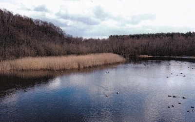 Glieningsee in , 15518 Briesen (Mark) OT Kersdorf - Bild 2