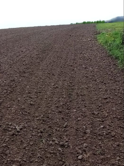 Landwirtschaftsflächen in , 74626 Bretzfeld - Bild 2