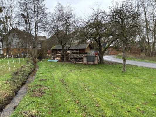 land- und forstwirtschaftlich genutztes Grundstück in Bracht-Siedlung - Bild 4