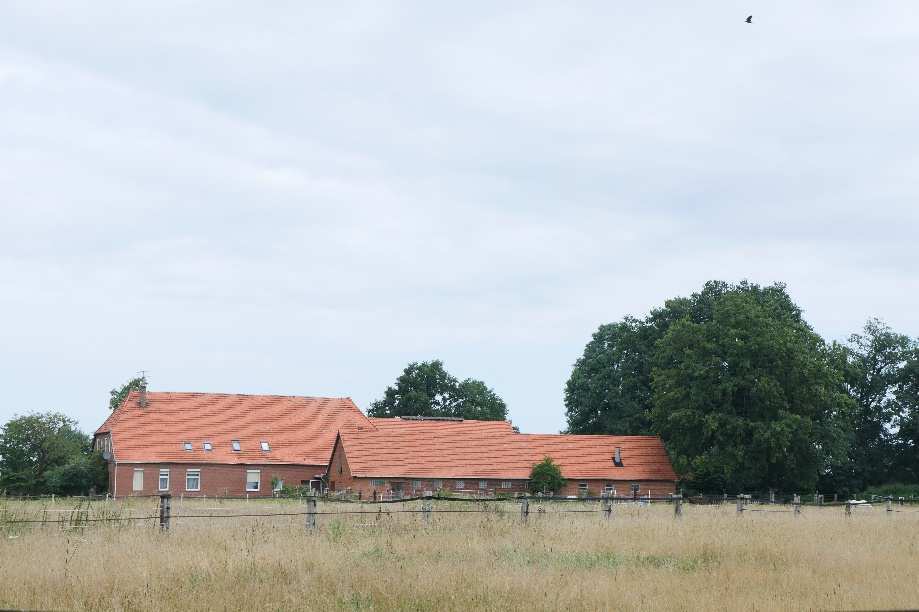 Sonstiges in Bruchhausen-Vilsen - Bild 3