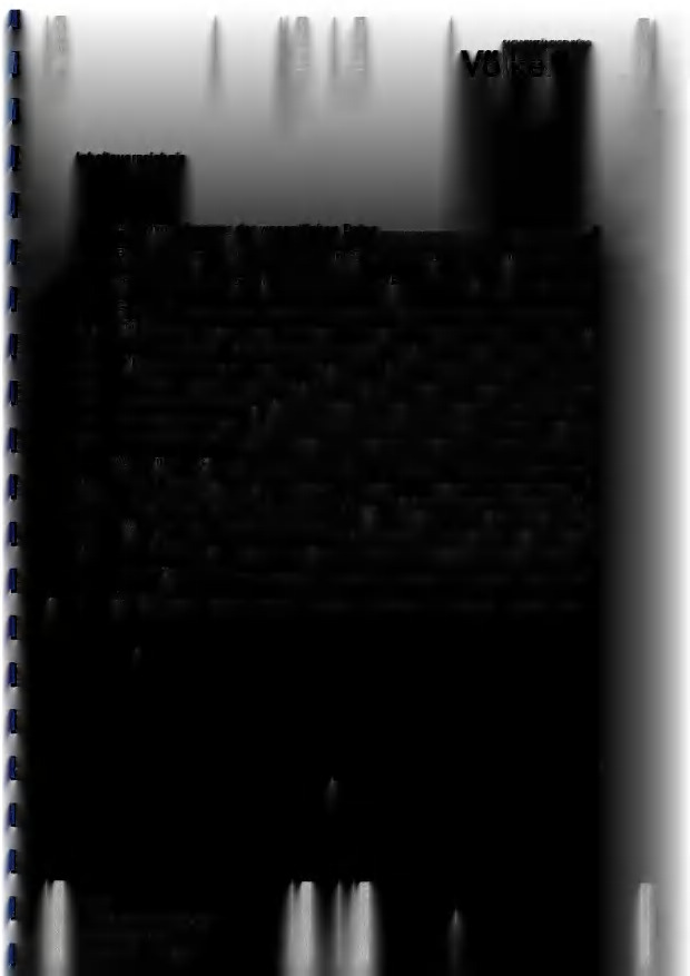 land- und forstwirtschaftlich genutztes Grundstück in Walting - Bild 3