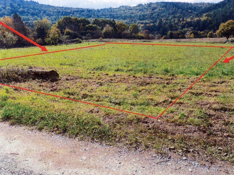 Landwirtschaftsfläche in Neckargemünd - Bild 1