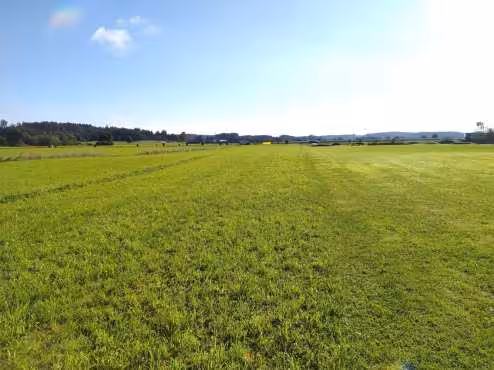 Landwirtschaftliche Fläche in Chieming - Bild 3