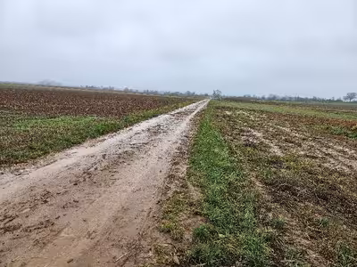 unbebautes Grundstück in - siehe amtliche Bekanntmachung -, 76761 Rülzheim - Bild 2