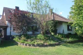 Eigentumswohnung (3 bis 4 Zimmer) in Dürrenmungenau - Bild 3