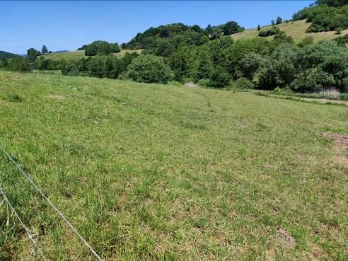 Landwirtschaftsfläche, Waldfläche in Straßbessenbach - Bild 3