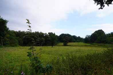 land- und forstwirtschaftlich genutztes Grundstück, Zweifamilienhaus, landwirtschaftliche Nebengebäude in Schwerte - Bild 3