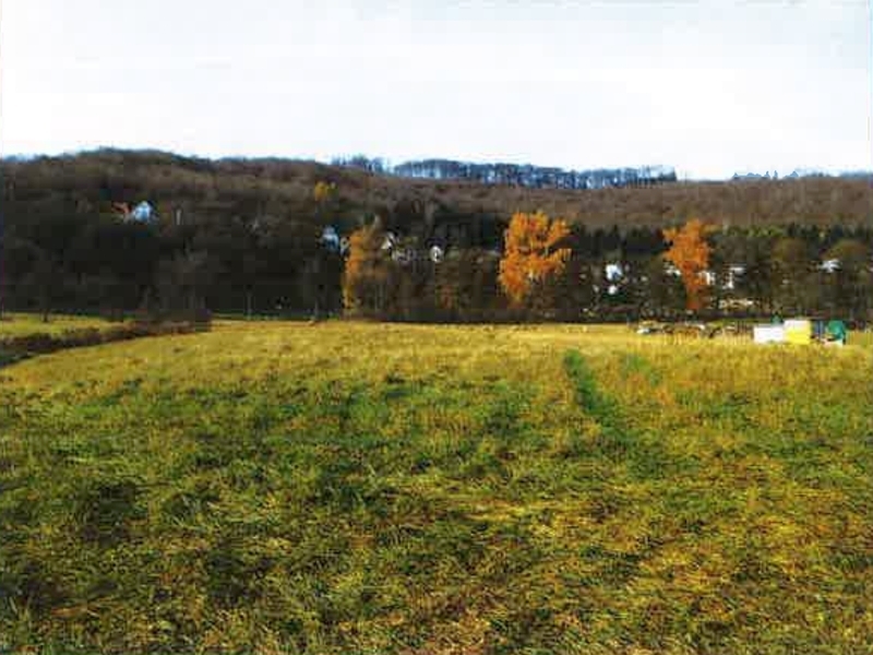 Landwirtschaftliches Grünland in Oberkochen - Bild 3