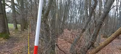 land- und forstwirtschaftlich genutztes Grundstück in Im Faulen, 53347 Alfter, Impekoven - Bild 2