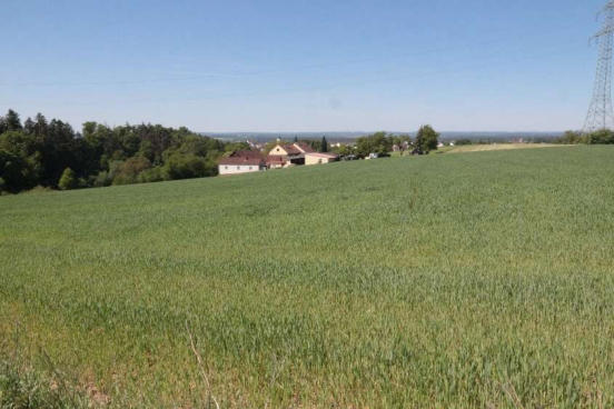 land- und forstwirtschaftlich genutztes Grundstück in Maxhütte-Haidhof - Bild 1