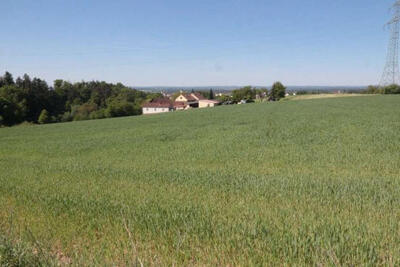 land- und forstwirtschaftlich genutztes Grundstück in Kappläcker, 93142 Maxhütte-Haidhof, Neukappl - Bild 1