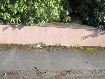 Einfamilienhaus in Lischeid - Bild 3