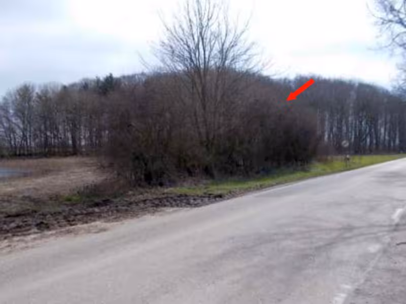 Resthof und Landwirtschaftsflächen in Tolk - Bild 3