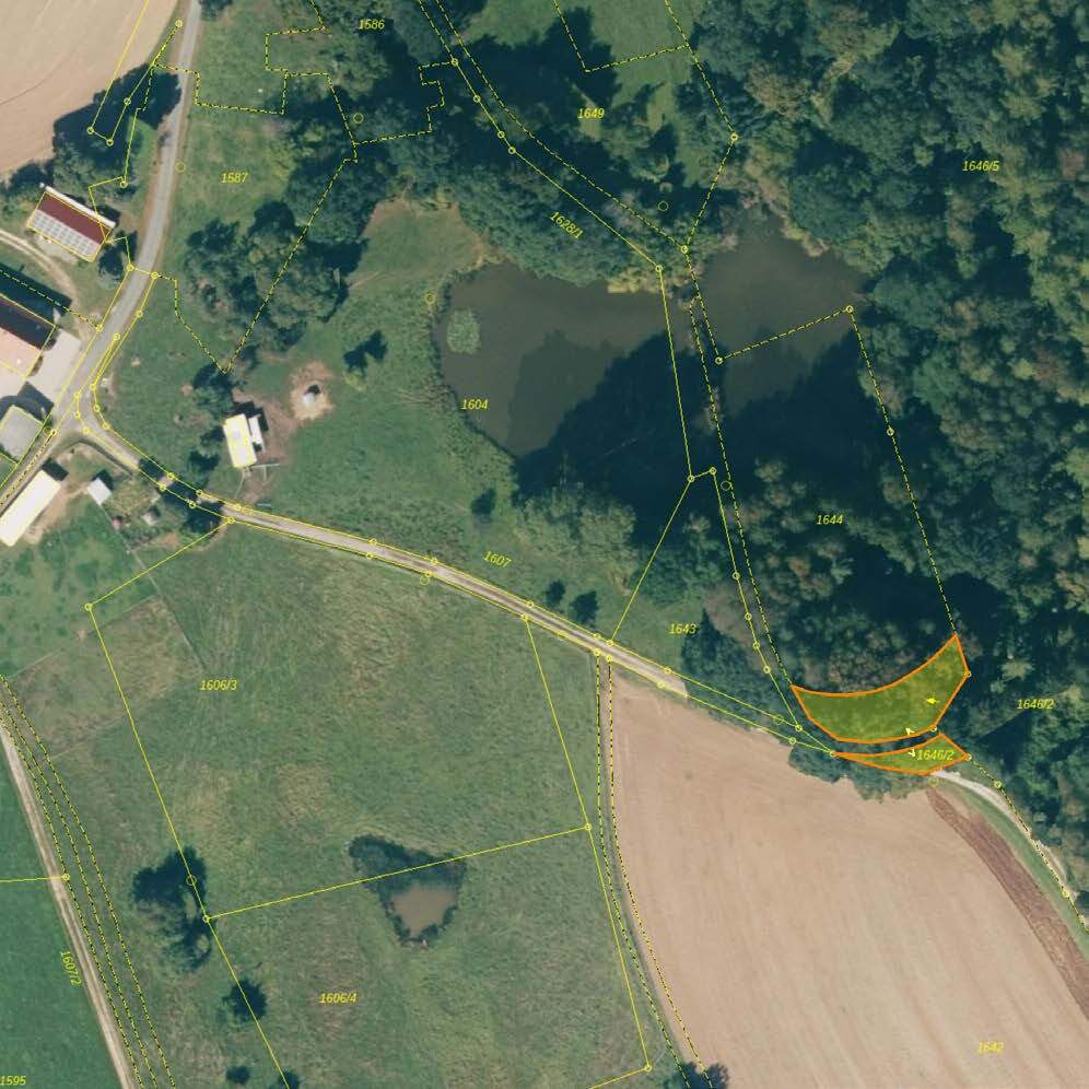 Waldfläche in Sulzbach-Rosenberg - Bild 2