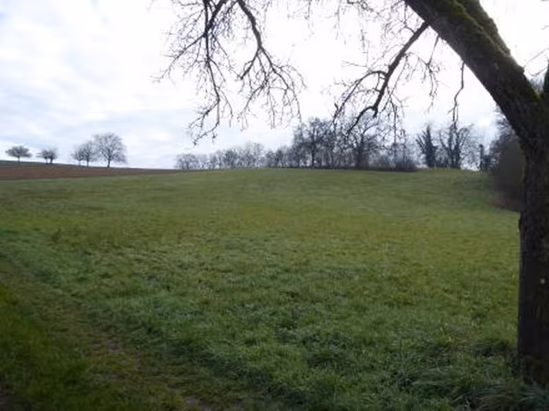 Landwirtschaftsflächen in Wiesloch - Bild 2