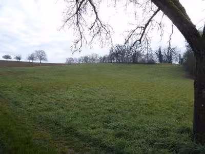 Landwirtschaftsflächen in , 69168 Wiesloch - Schatthausen - Bild 2