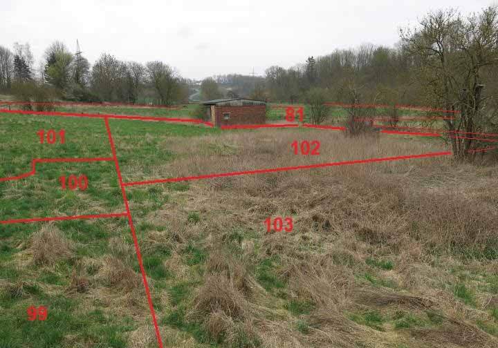 Sonstiges in Brakel - Bild 1