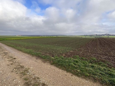 Ackerland in , 73485 Unterschneidheim-Zipplingen - Bild 1