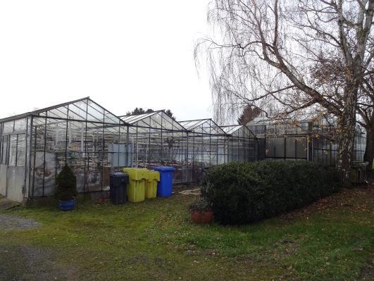 land- und forstwirtschaftlich genutztes Grundstück, Wohn-/Geschäftshaus in Nettetal - Bild 3