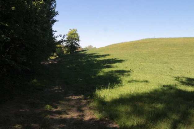 land- und forstwirtschaftlich genutztes Grundstück in Maxhütte-Haidhof - Bild 2