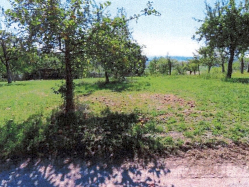 Landwirtschafts-/Waldflächen in Ammerbuch - Bild 3