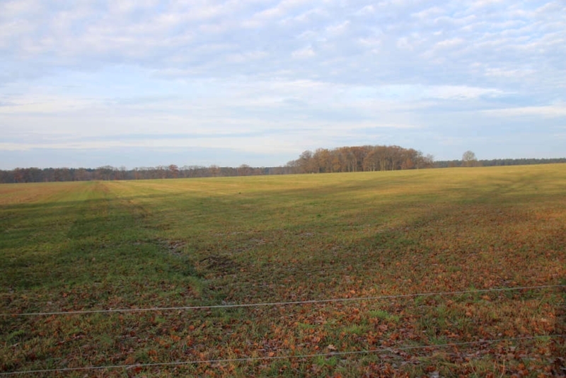 Grünland in Kremmin - Bild 2