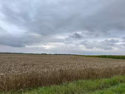 land- und forstwirtschaftlich genutztes Grundstück, Ackerland in Stedtfeld, 39240 Calbe - Bild 2