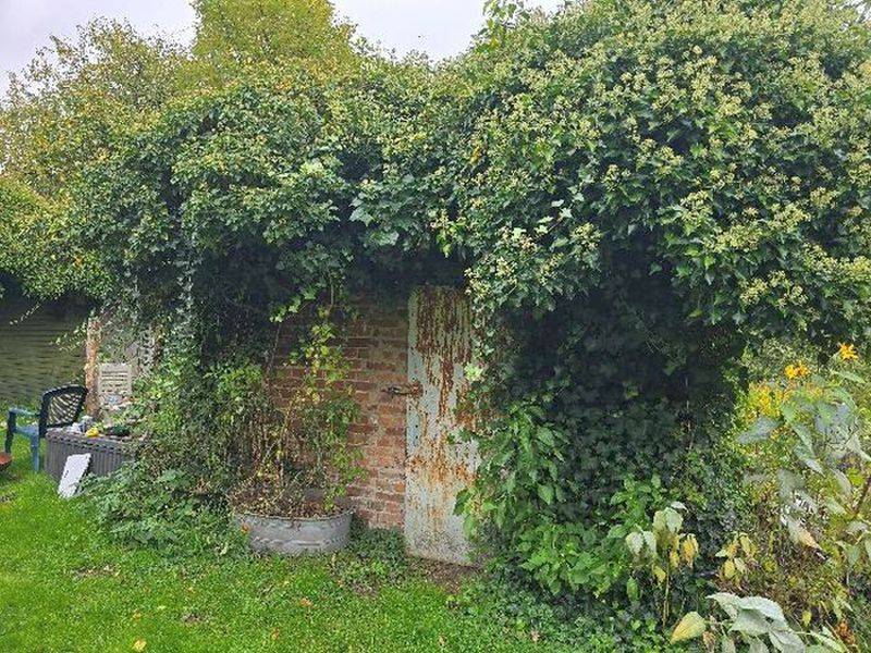 Einfamilienreihenendhaus mit Nebengebäuden und Naturgarten in Wardow - Bild 3