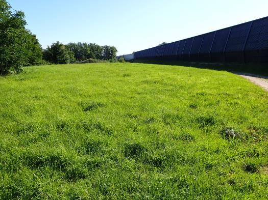 unbebautes Grundstück, land- und forstwirtschaftlich genutztes Grundstück in null - Bild 1