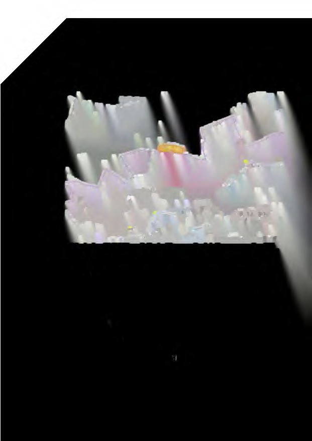 land- und forstwirtschaftlich genutztes Grundstück in Wallersdorf - Bild 2