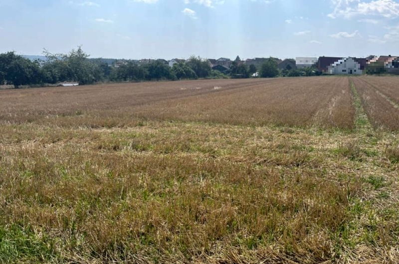 Wohnhaus, Landwirtschaftsfläche und unbebautes Grundstück in Bad Mergentheim - Bild 3