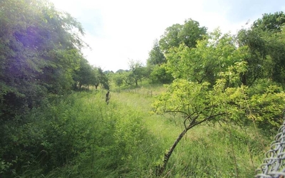 Ehemaliger Aussiedlerhof in Äscherschlacht 5, 73072 Donzdorf - Bild 2