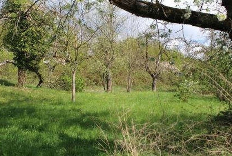 Grünland in Plochingen - Bild 1