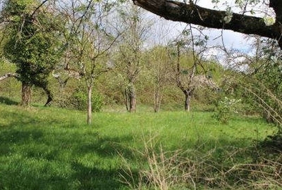 Grünland in Halde (an der Ulmer Straße), 73207 Plochingen - Bild 1