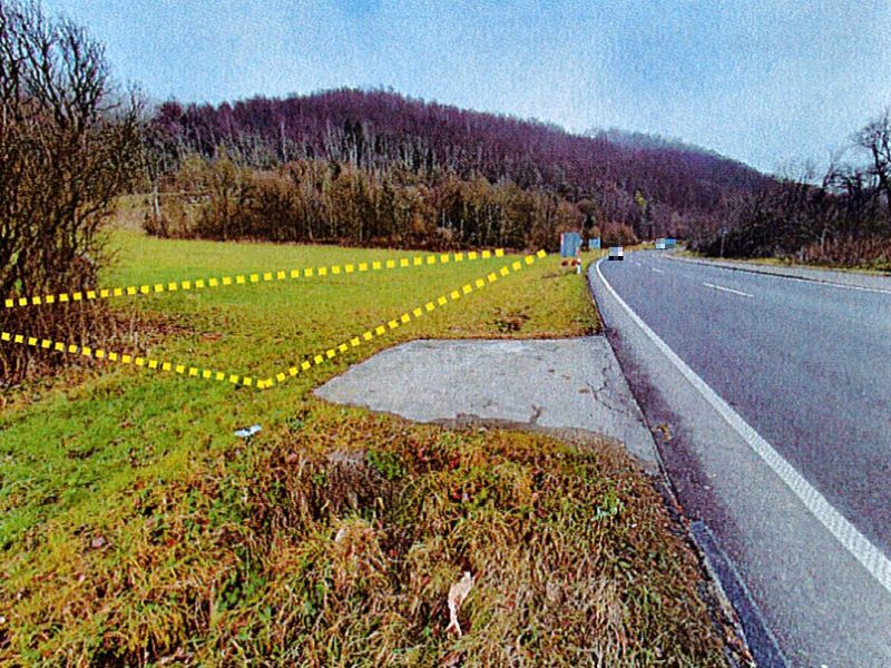 Wiese im Naturschutzgebiet in Geislingen an der Steige - Bild 2